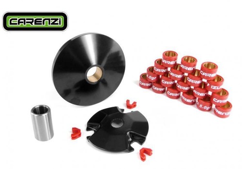 286874 variatore carenzi - 286874,