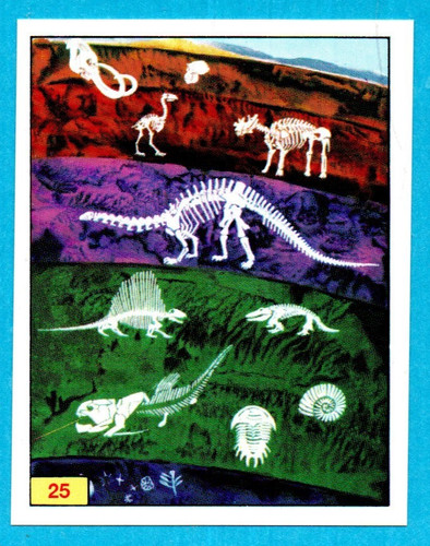 DINOSAURS/ANIMALI