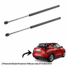 2 MOLLE  A GAS PISTONI