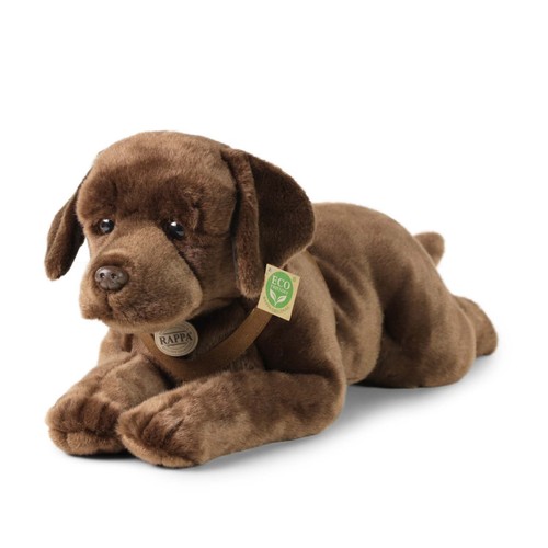 Labrador retriever marrone - labrador,