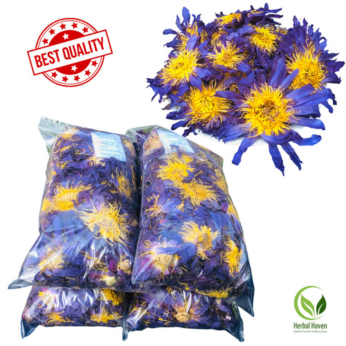 Fiore loto blu - fiore,