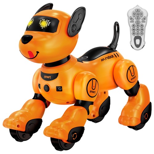 Cane robot programmabile - robot,