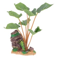 Pianta per acquario casa