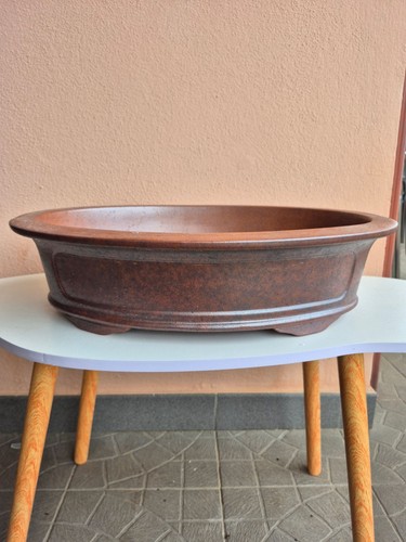 Grande vaso per bonsai - grande,