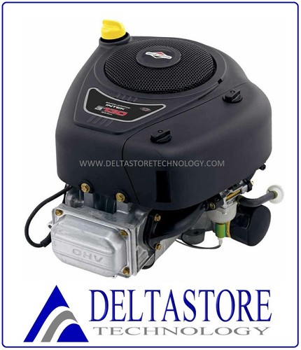 Motore briggs stratton 3130 - &,