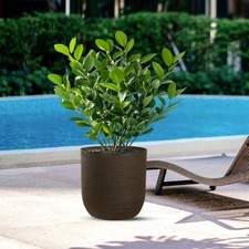 Divina garden vaso - garden, in