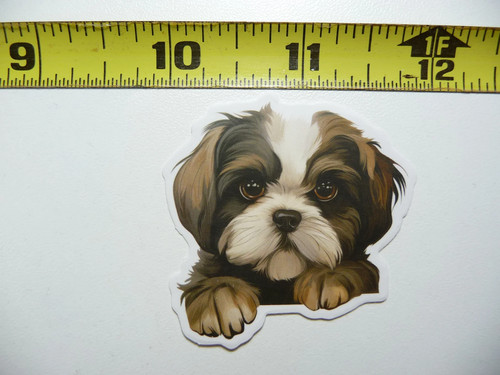 Peeking shih tzu - shih,