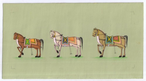 Royal cavallo miniatura - royal,