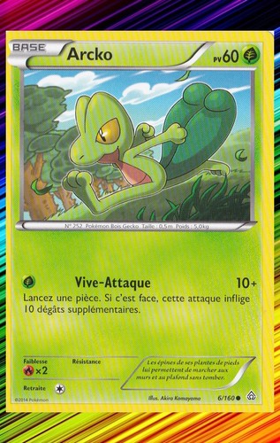 Arcko xy5 primo - arcko, xy5:primo