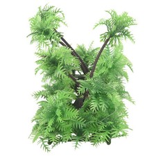 3X Pianta di Palma Da Cocco