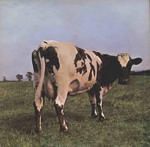 Pink floyd atom heart - floyd,