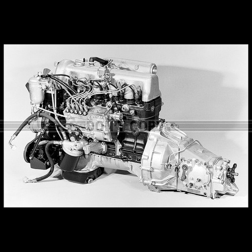 Photo 011142 mercedes benz - photo, mercedes-benz