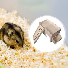 Casetta per Porcellini D'India