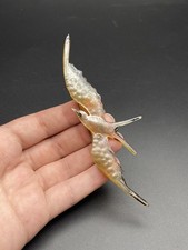 Antica ENORME GIP George