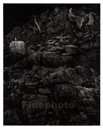 Foto incisione anni vintage - incisione,