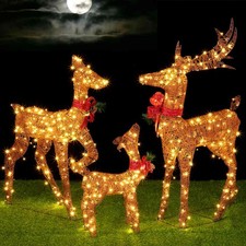 Famiglia renne luminose di - luminose,