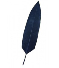 Penna aquila flex ginnica - flex,