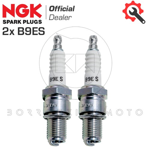 Coppia candele accensione ngk - coppia,