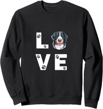 Carino BOVARO DEL BERNESE Cane