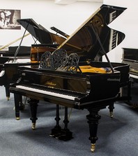 ali Blüthner usate, nero