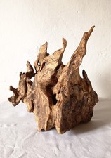 Lampada Scultura in Radice di