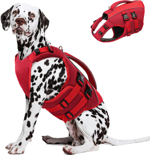 Qeenmore salvagente cane - salvagente,