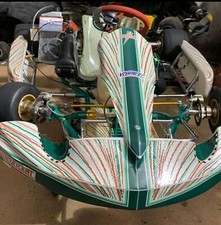 go kart 125 (monomarcia rotax max evo)