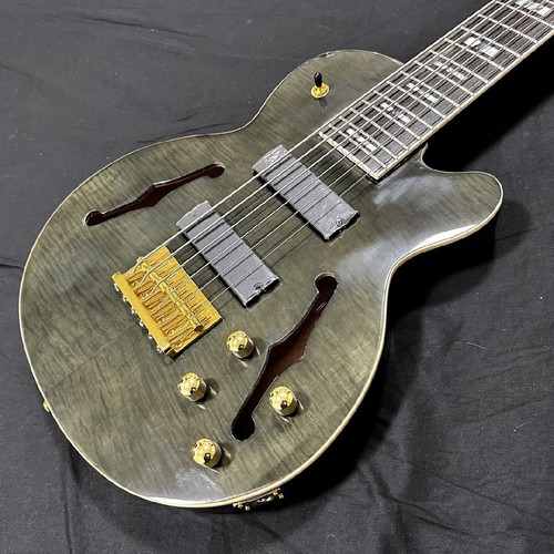 Basso elettrico acustico - basso,