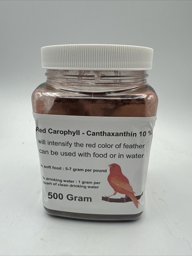 Ingrosso carofilla rossa - carofilla,