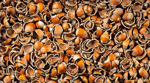 Gusci nocciole per - di,