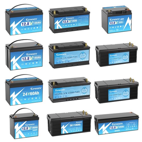 Lifepo4 12v 24v 100ah - lifepo4,
