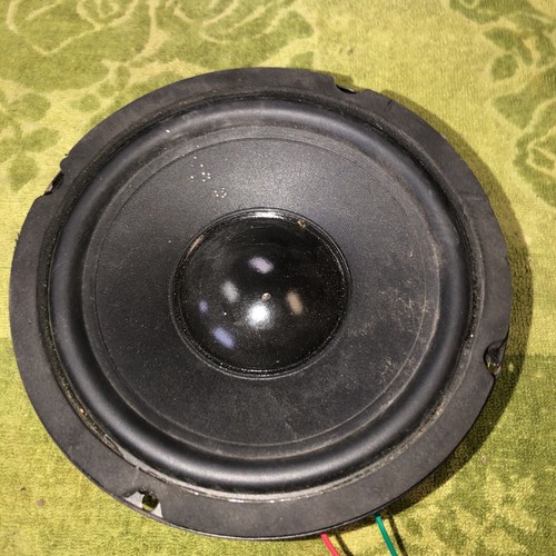 Altoparlante woofer acoustic - altoparlante,