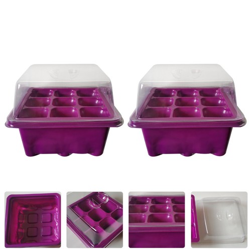 Scatole germinazione piante - scatole,