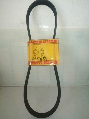 Cinghia multirib pirelli - cinghia,