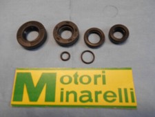 SERIE PARAOLIO MINARELLI P4 x
