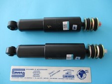 Coppia Ammortizzatori