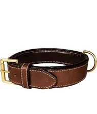 Collare in cuoio marrone con