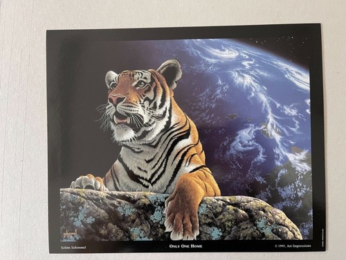 Schim schimmel tiger - schim,