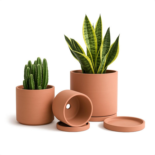 Vasi terracotta per piante - vasi, in