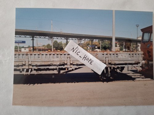 Fotografia stazione pisa - fotografia,