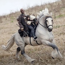 Mrz 1/6 Shire Horse Model