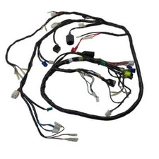 Cavo Unità Alimentazione Elettrica PGO T-Rex 50 125 150 Chinaroller Scooter