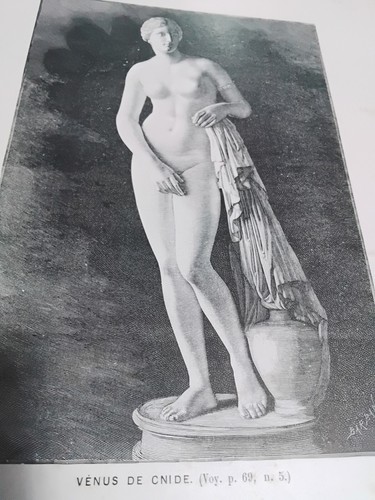1889 afrodite cnidia - _,