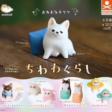 Chihuahua cane vivente set