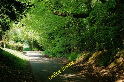 Photo 12x8 church lane - photo,