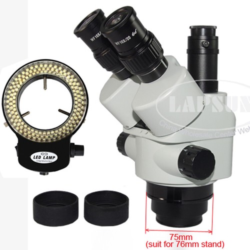 Testa microscopio stereo