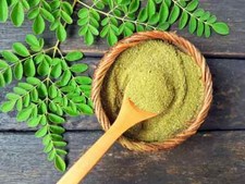 Estratto moringa polvere - di,