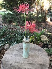 Earthenware Bud Vase by Bertie