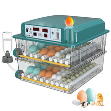 Incubatrice per uova 120 - uova,
