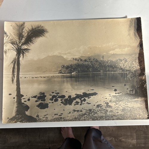 Fotografia originale zane grey - fotografia,